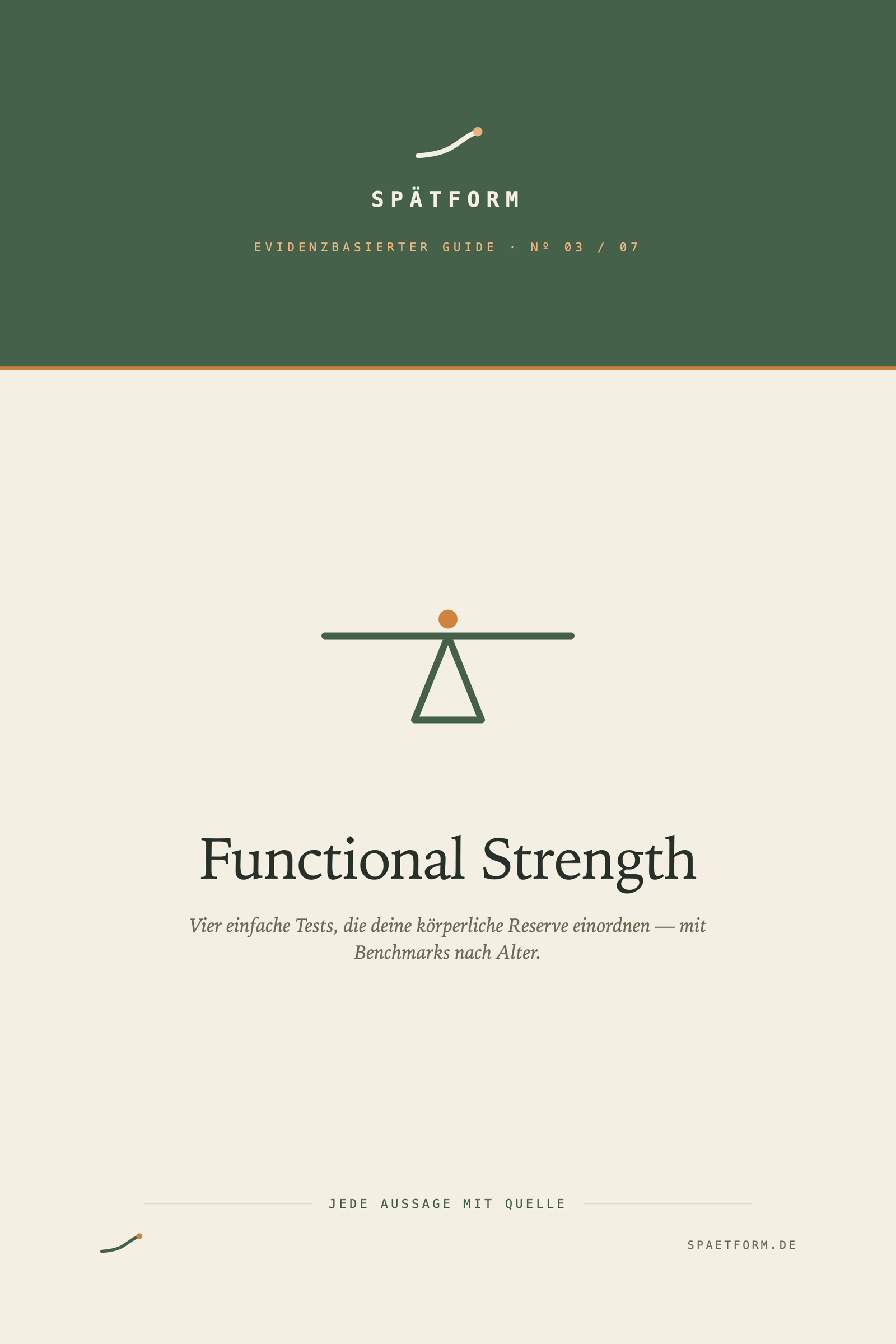 Der Functional-Strength-Guide – E-Book-Cover